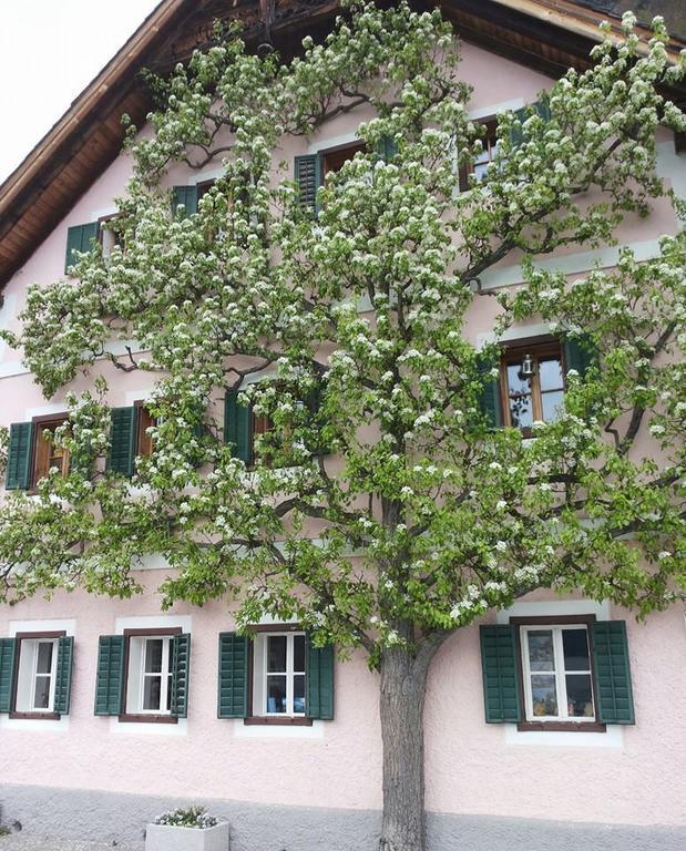 Apartment Luise Hallstatt Room photo